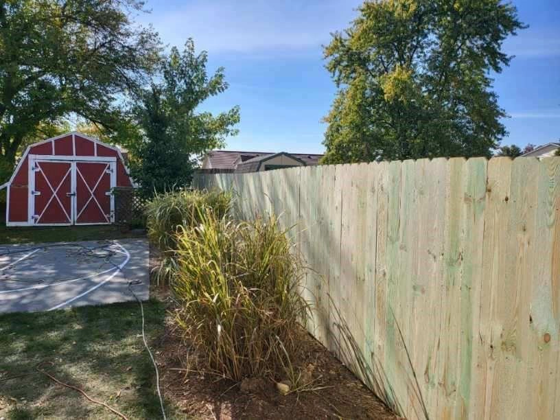 Austin Dogear Privacy